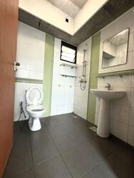 Blk 55 Havelock View (Bukit Merah), HDB 3 Rooms #570217201